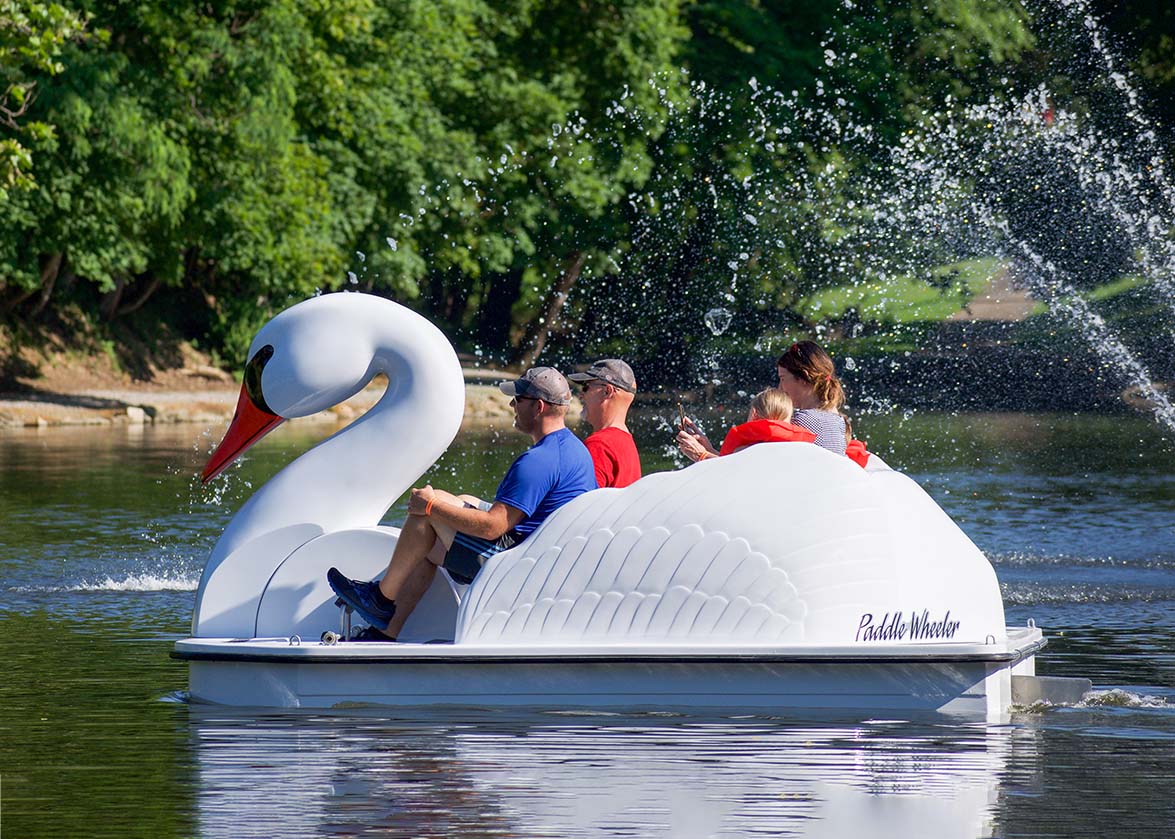Swan Pedal Boats on Schenk Lake