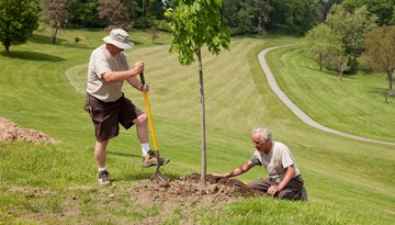 2 Men Planting new Trees