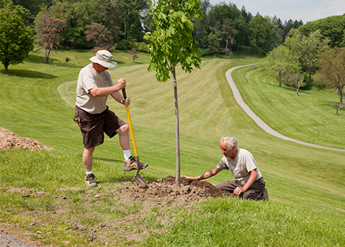 2 Men Planting new Trees